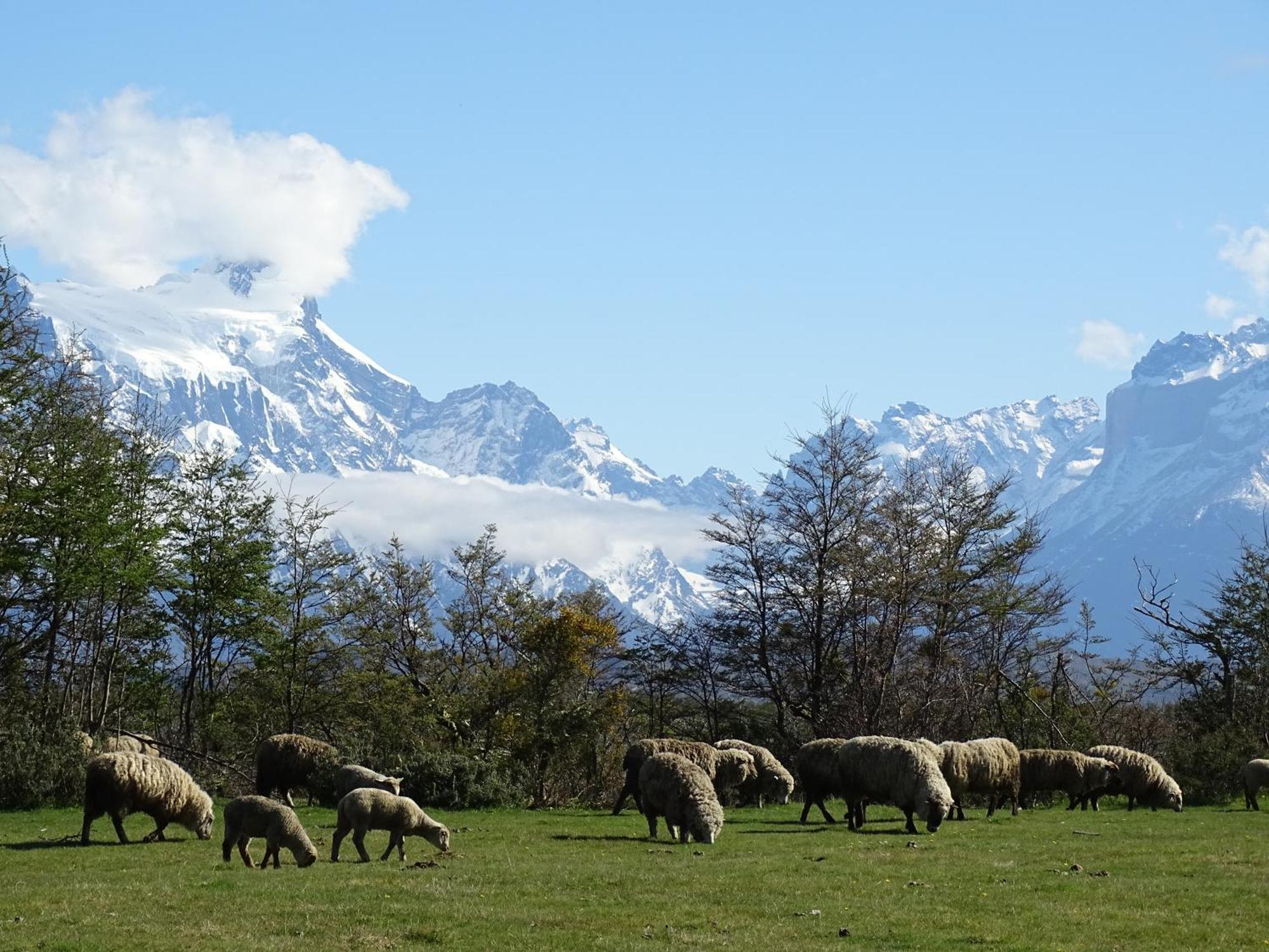 Torres del Paine National Park孔卡什根旅舍别墅 外观 照片